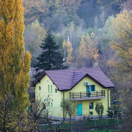 Pensiunea Happy Schitu Topolnitei Exteriér fotografie