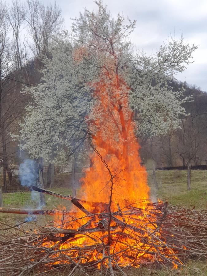 Pensiunea Happy Schitu Topolnitei Exteriér fotografie